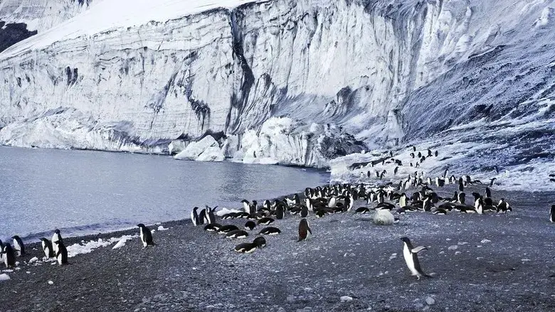 Antarctica: The Frozen Time (2021)