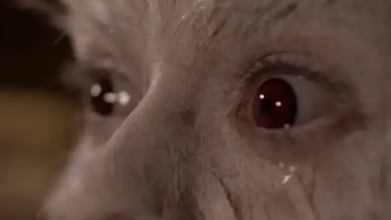 Nona (2023)