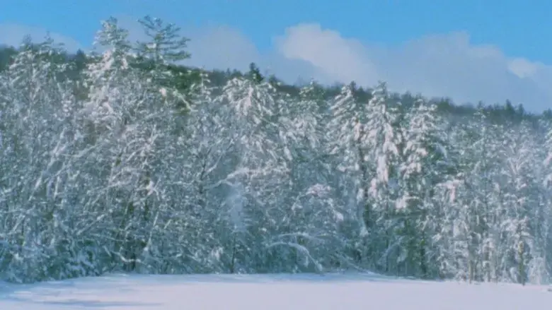 After the Storm (2023)