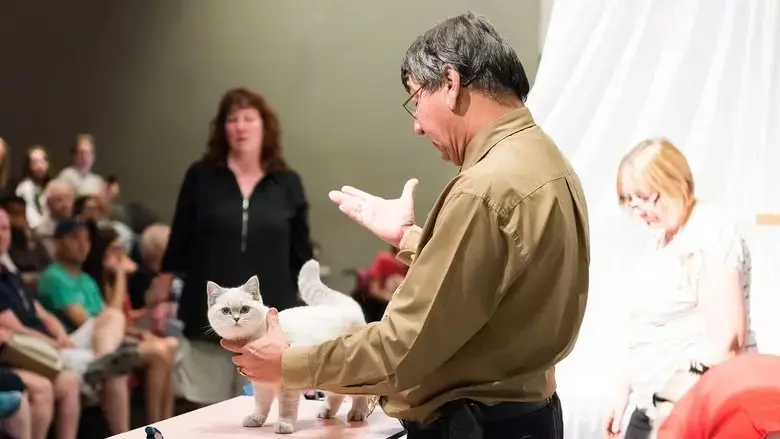 Catwalk: Tales from the Cat Show Circuit (2018)