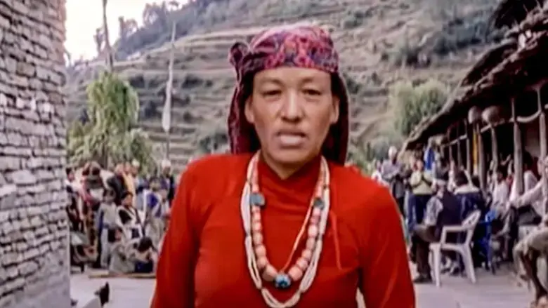 Never Ending Peace and Love (2003)