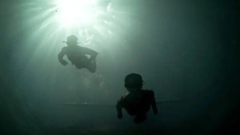 Delve (2025)