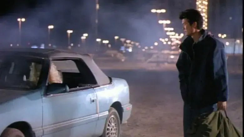 Lone Tiger (1996)