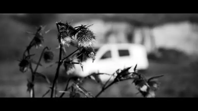 No Man's Land (2017)