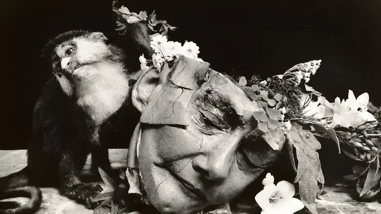Witkin & Witkin (2017)