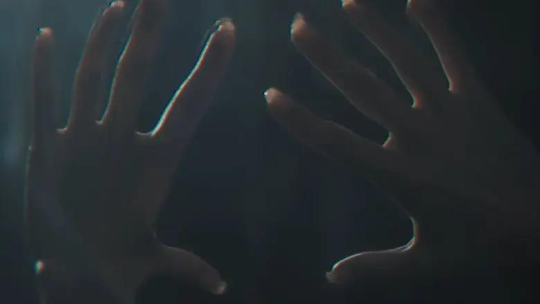 Roy (2020)
