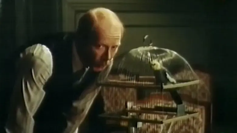 Vikno navproti (1991)