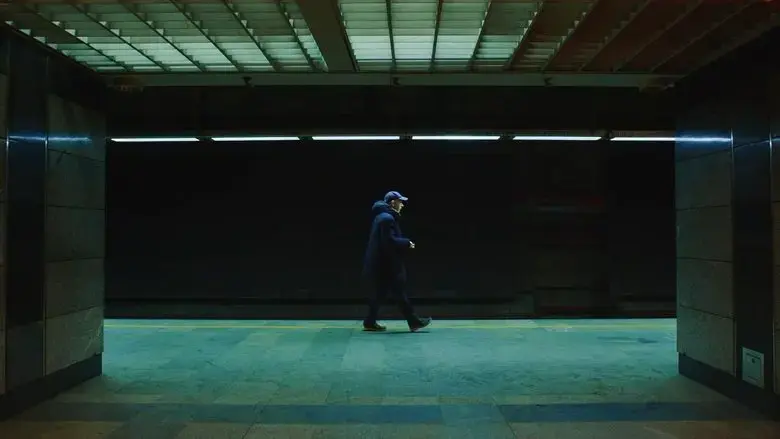 Delayed Flight (2024)