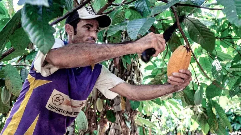 Du chocolat pour sauver l'Amazonie (2022)