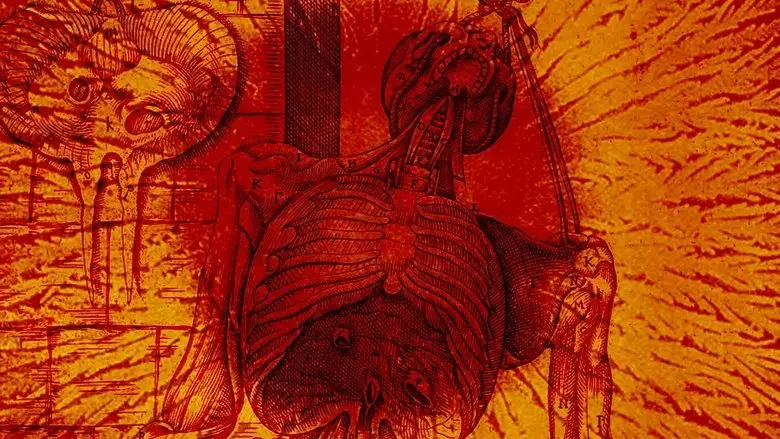 Gut Instinct (2024)