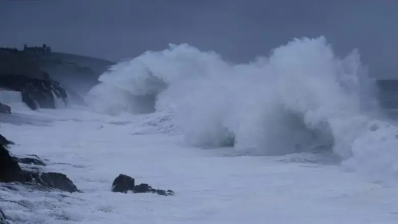 From the Wild Sea (2021)
