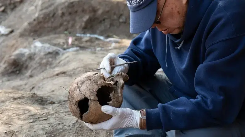206: Unearthed (2023)