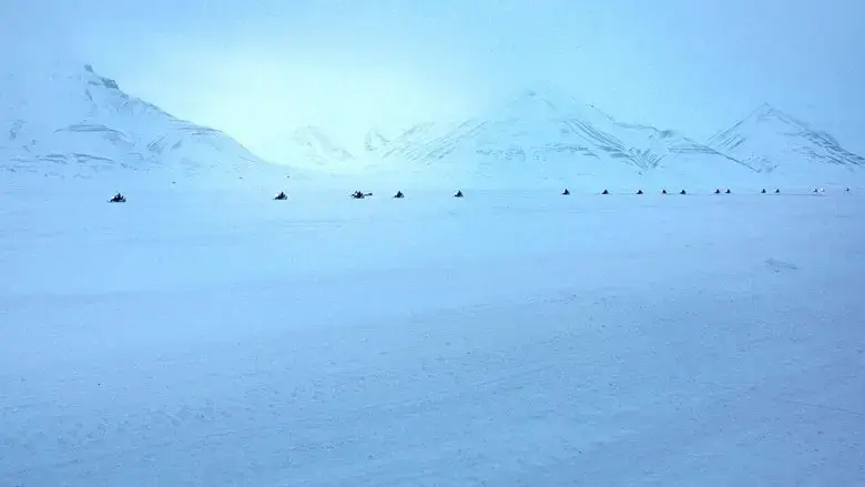 The Visitors (2023)