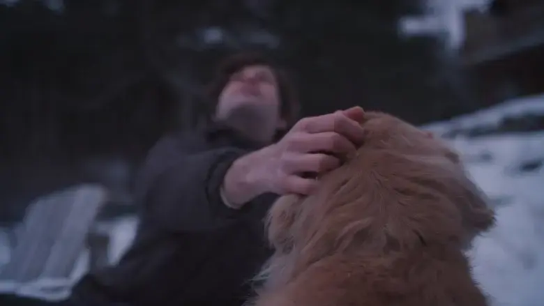 Wounded by the Wind (2017)