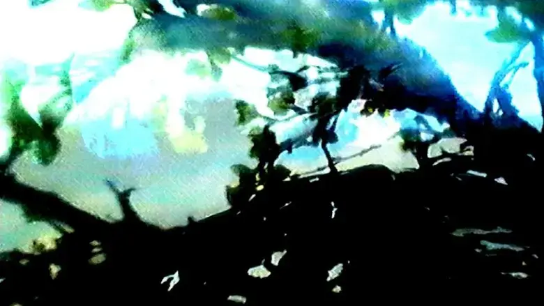 Smear (2025)