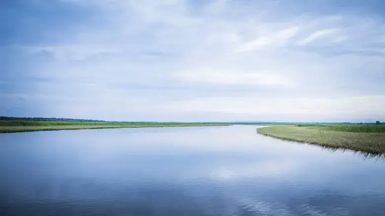 Bad River (2024)