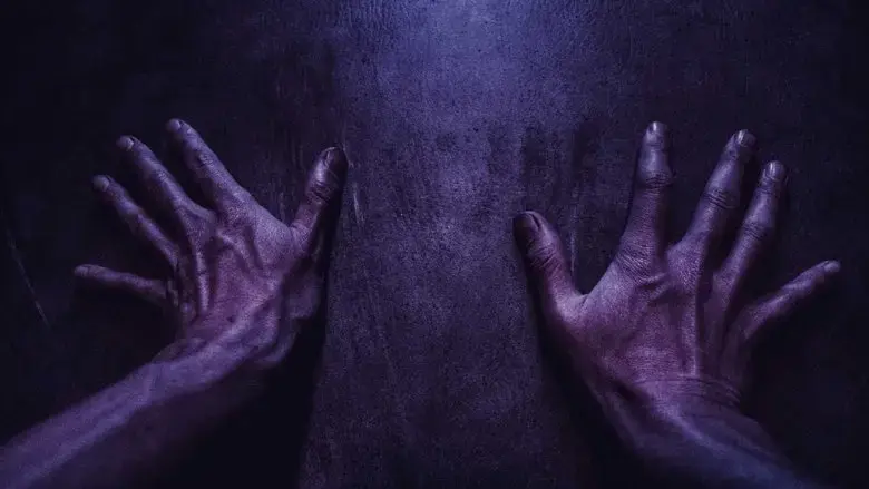 I Am the Doorway (2017)