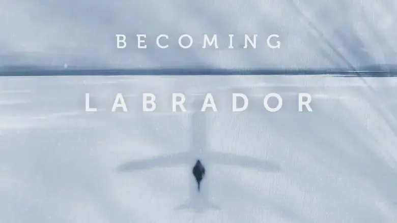 Becoming Labrador (2019)