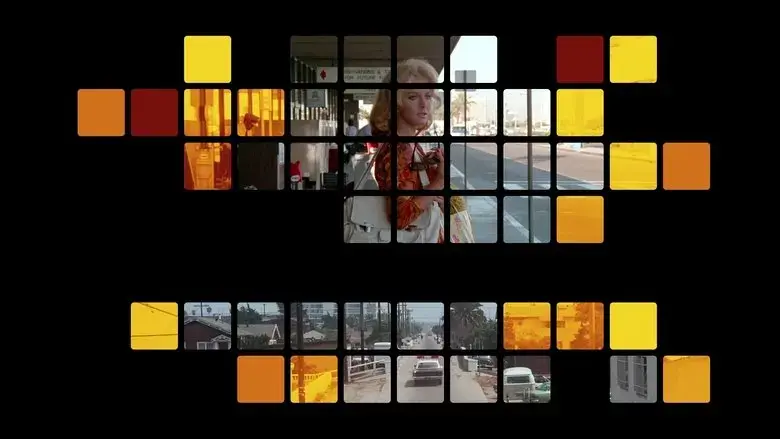 The Outside Man (1972)