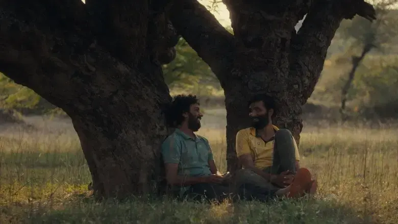 Cactus Pears (2025)