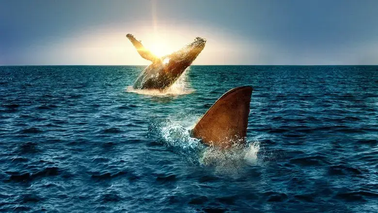 Shark Vs. Whale (2020)