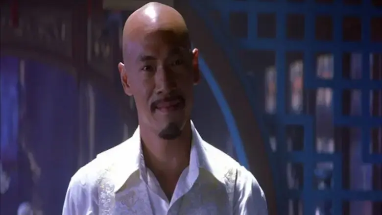 Tai fong lo chin (2006)