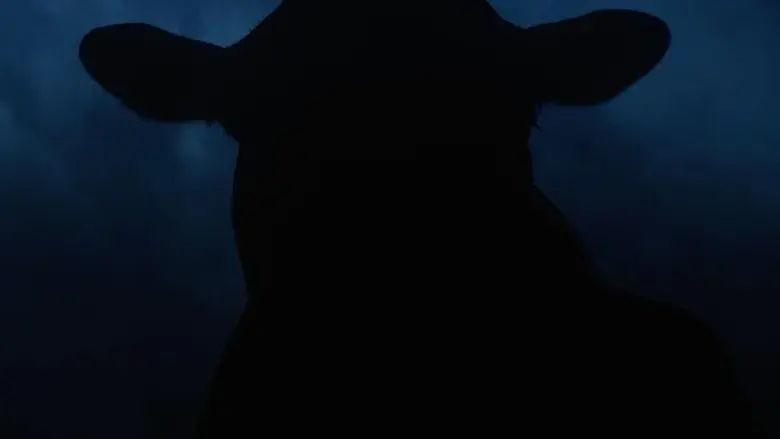 SURRENDER | The Go One More Ultra (2025)
