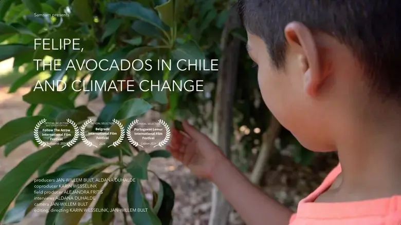 Felipe, de avocado's in Chili en klimaatverandering (2023)