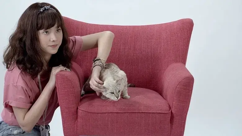Cat a Wabb (2015)
