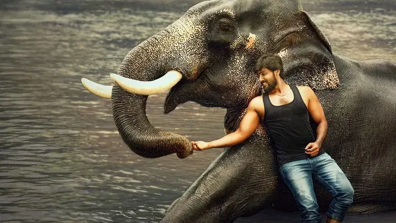 Raja Bheema (2025)