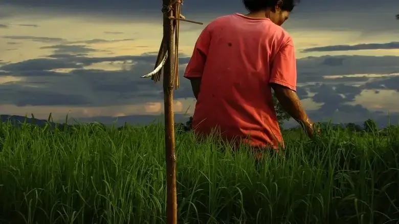 Sawan baan na (2009)