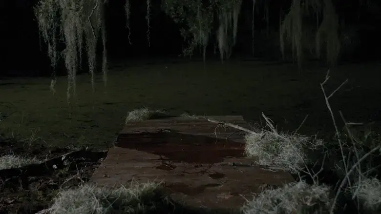 Consummation (2024)