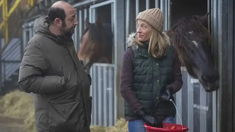 Disparue en hiver (2015)