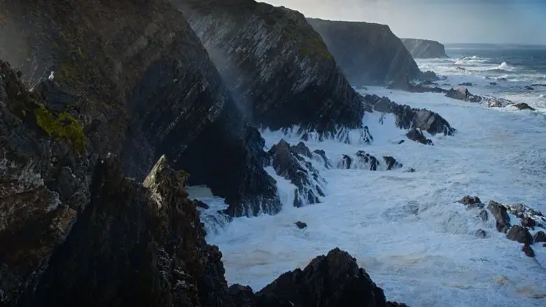 Wild Portugal (2020)