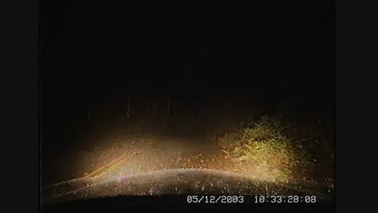 Detour (2024)