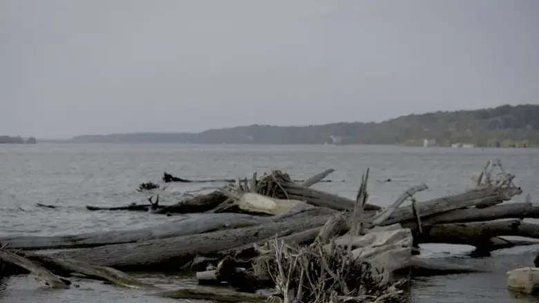 Smallpox Island (2025)