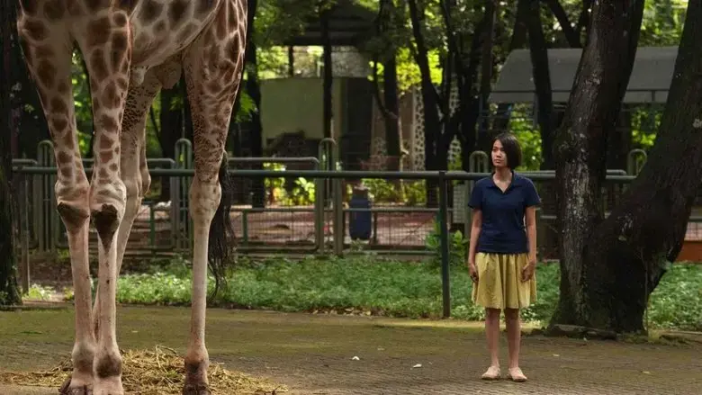 Postcards from the Zoo (2012)