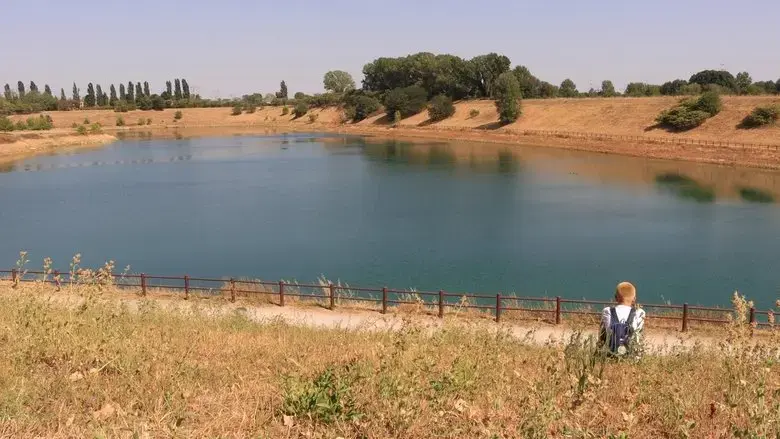 Il colore rosa (2022)