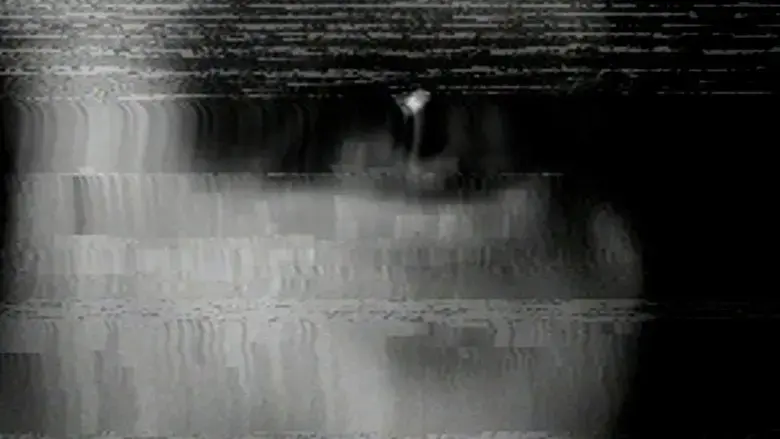 The Glitch (2022)
