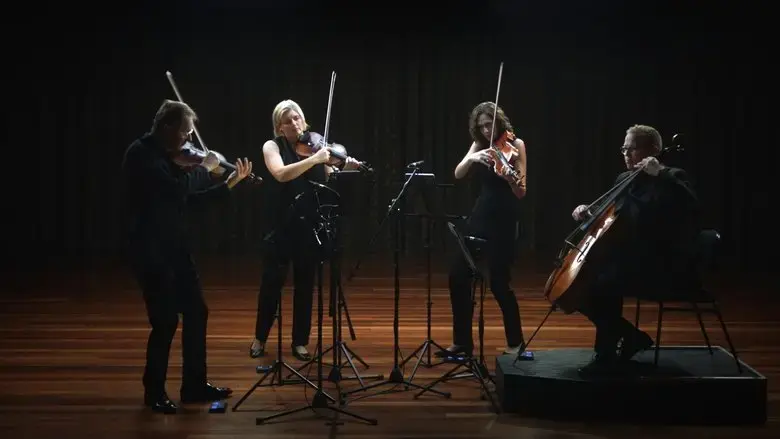 Anatomy of a String Quartet (2022)