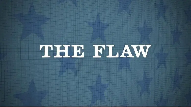 The Flaw (2011)