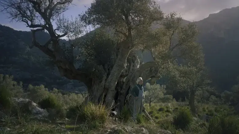 Pedra i oli (2022)