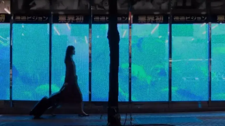 The Fish with One Sleeve (2021)