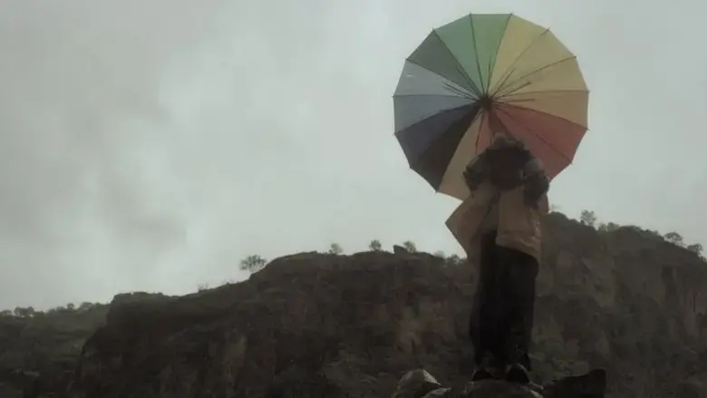 A Flag Without a Country (2015)