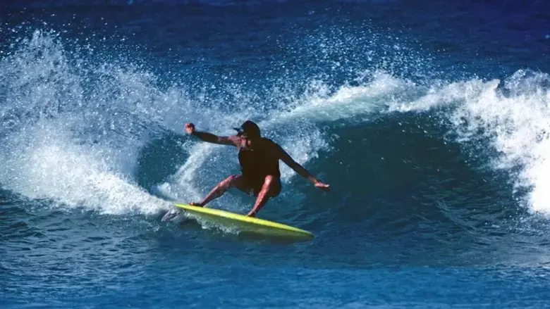 Fish: The Surfboard Documentary (2016)