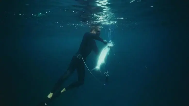 Sea Pilgrim (2017)