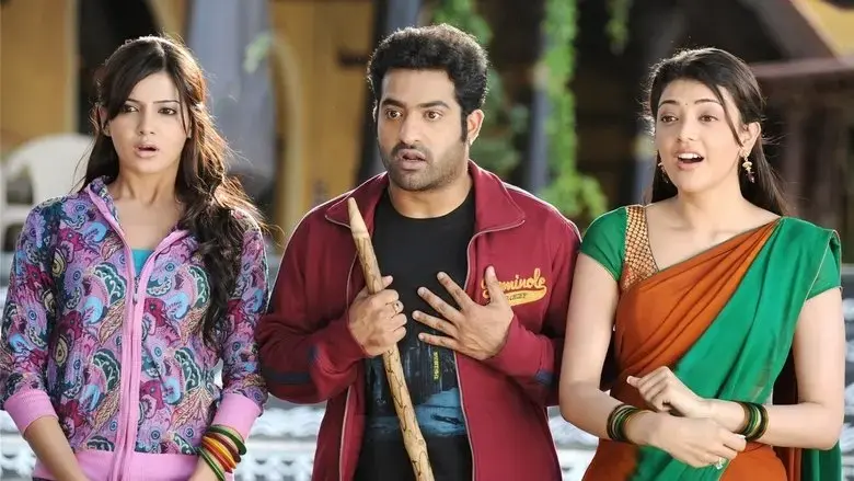 Brindavanam (2010)