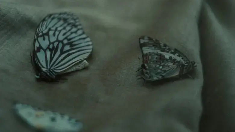 Kerberos (2024)