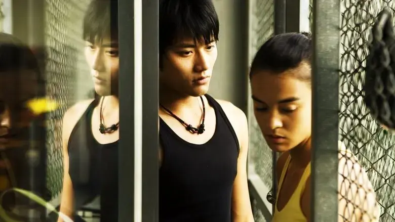 Yang Yang (2009)