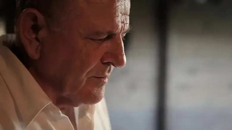 Meciar (2017)